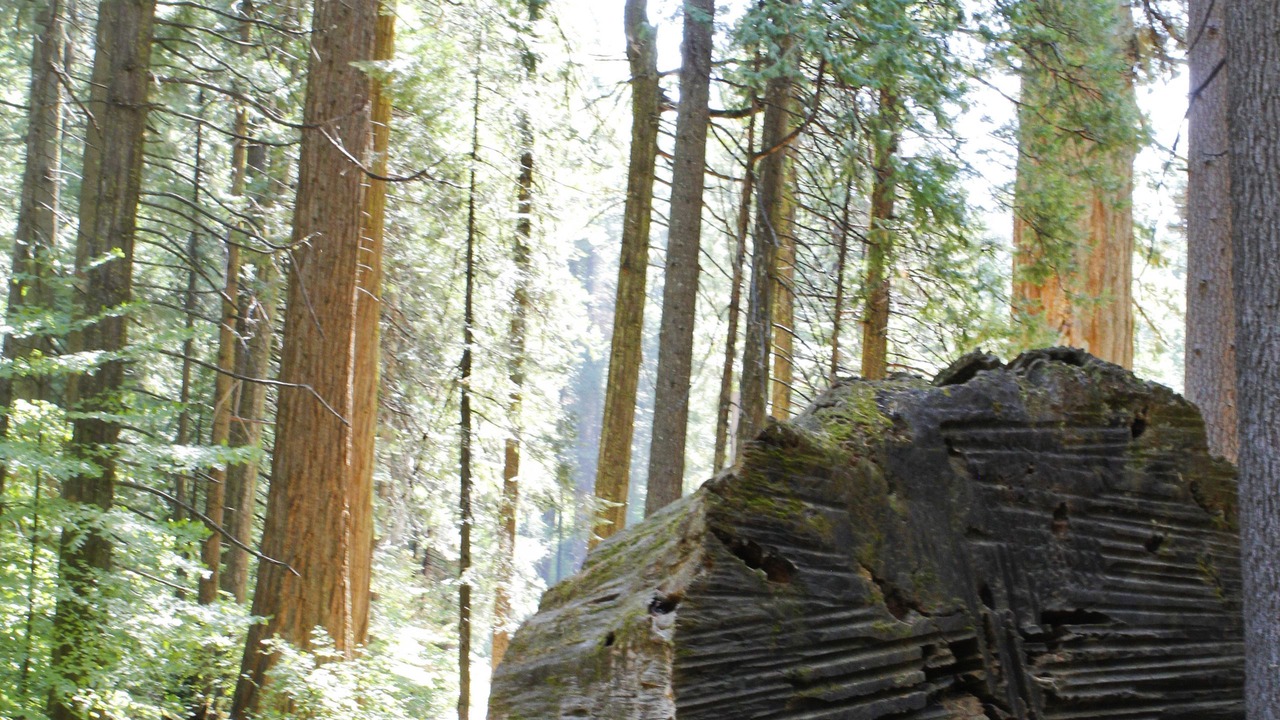 Photo of Outdoor in Arnold