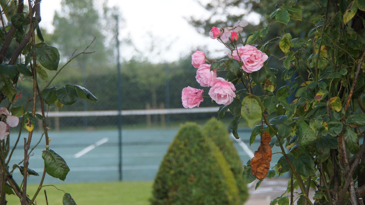 Photo of Others in Burythorpe