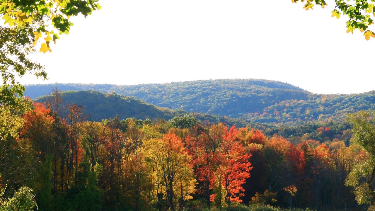 Photo of Outdoor in Lenox