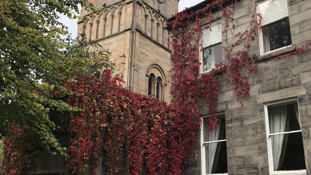 Photo of Outdoor in Paisley