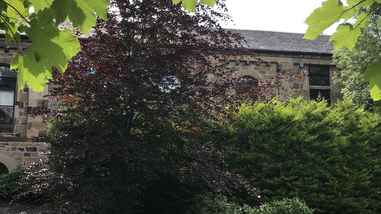 Photo of Outdoor in Paisley