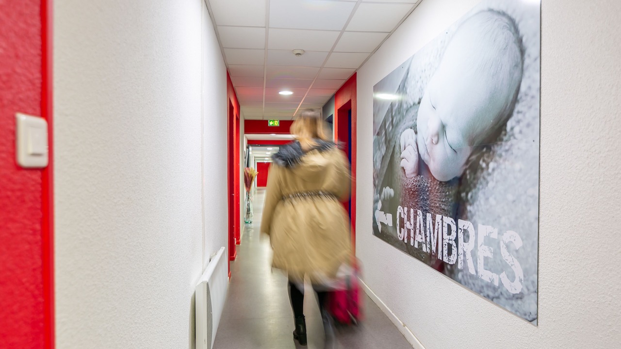 Photo of Others in Carcassonne