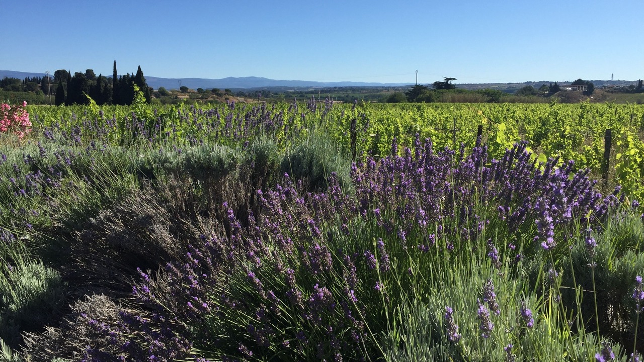 Photo of Outdoor in Carcassonne