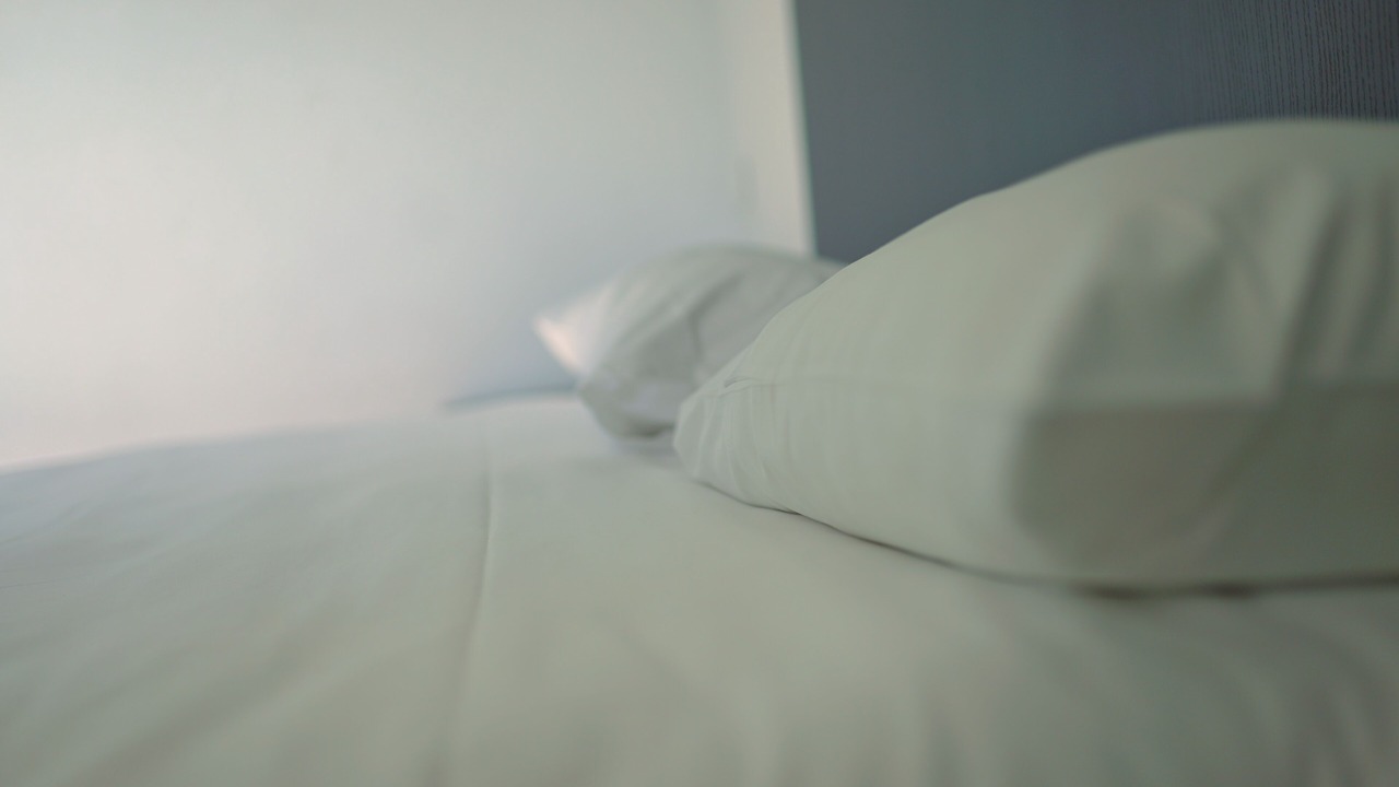 Photo of Others in Carcassonne