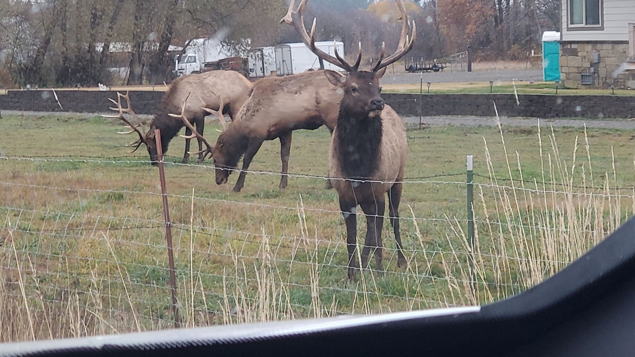 Photo of Outdoor in Cle Elum