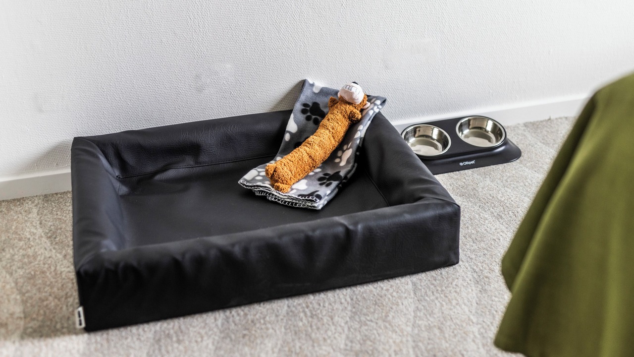 Photo of Others in Vejle