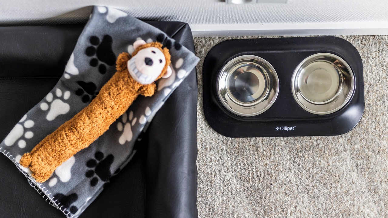 Photo of Others in Vejle