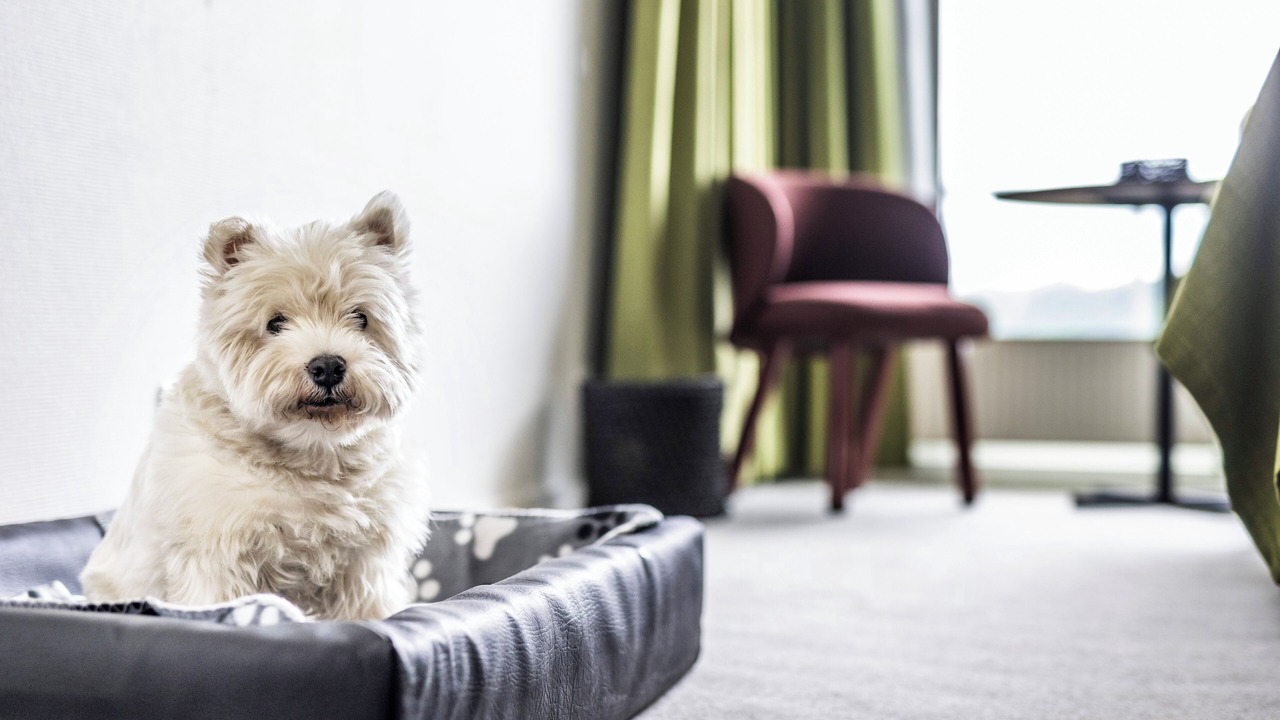 Photo of Others in Vejle