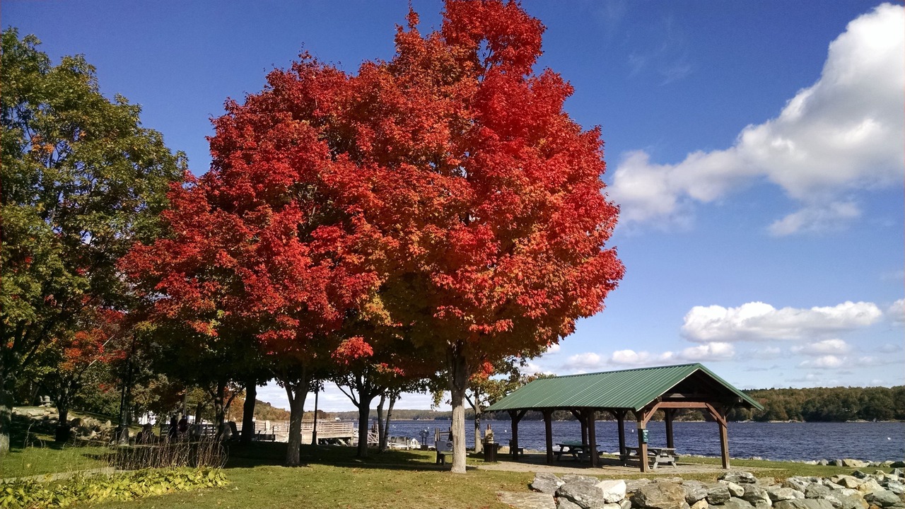 Photo of Others in Bath