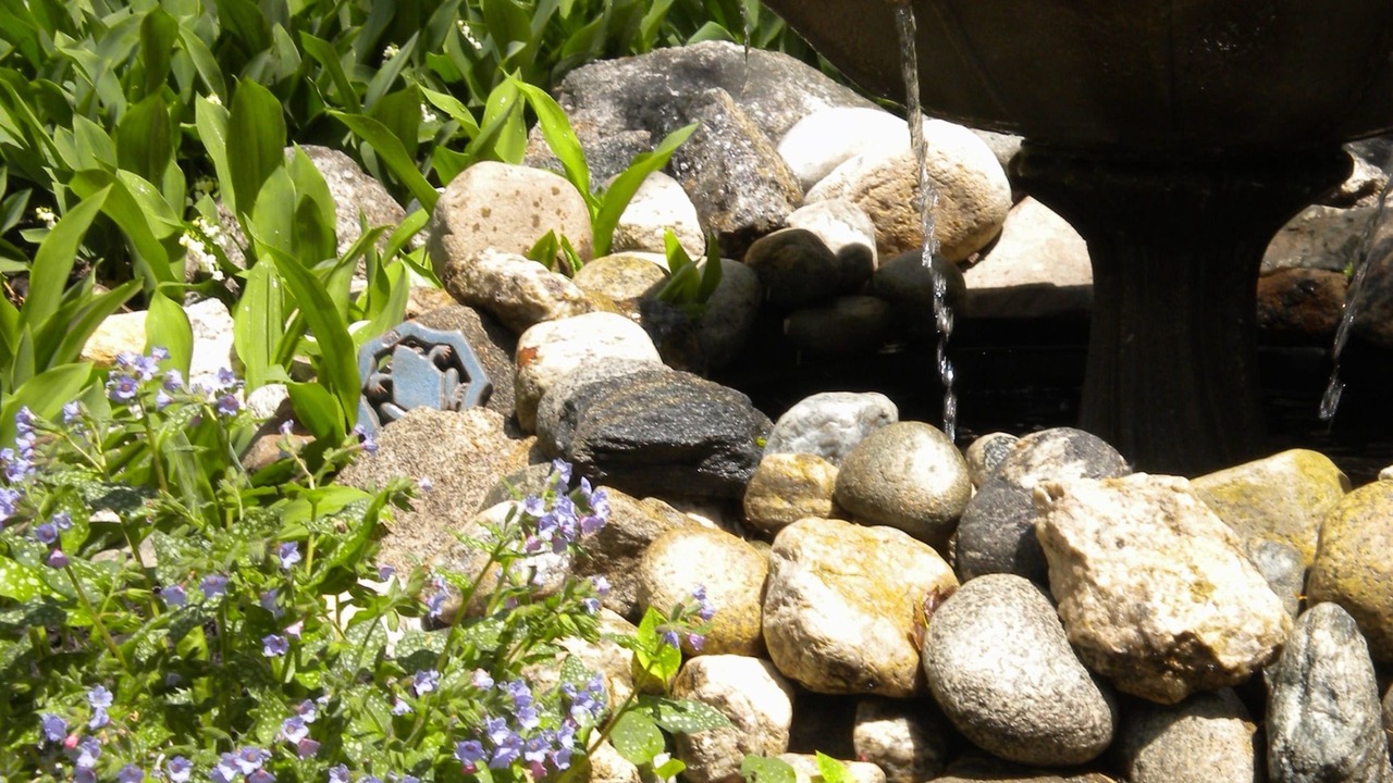 Photo of Outdoor in Bath