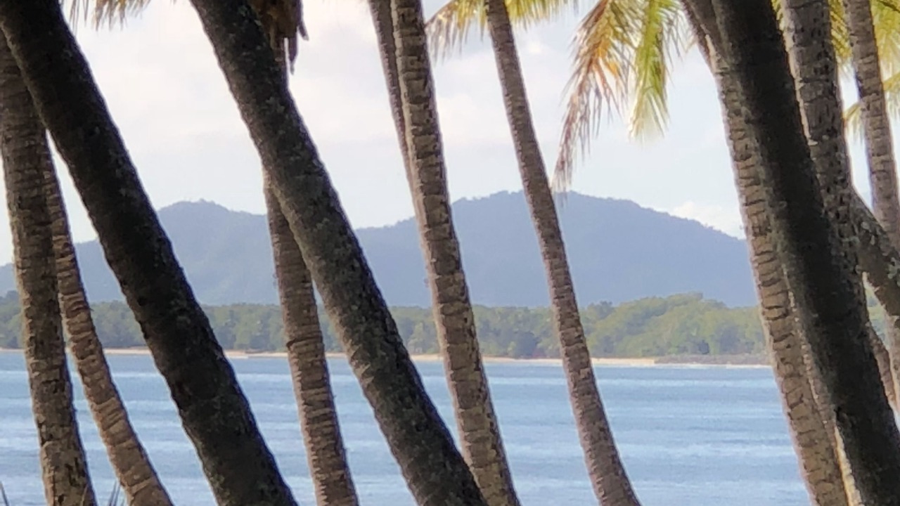 Photo of Others in Palm Cove