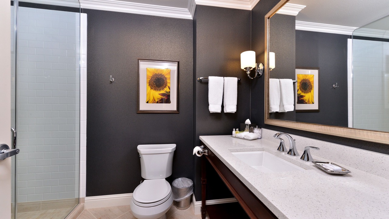 Photo of Others in Anacortes