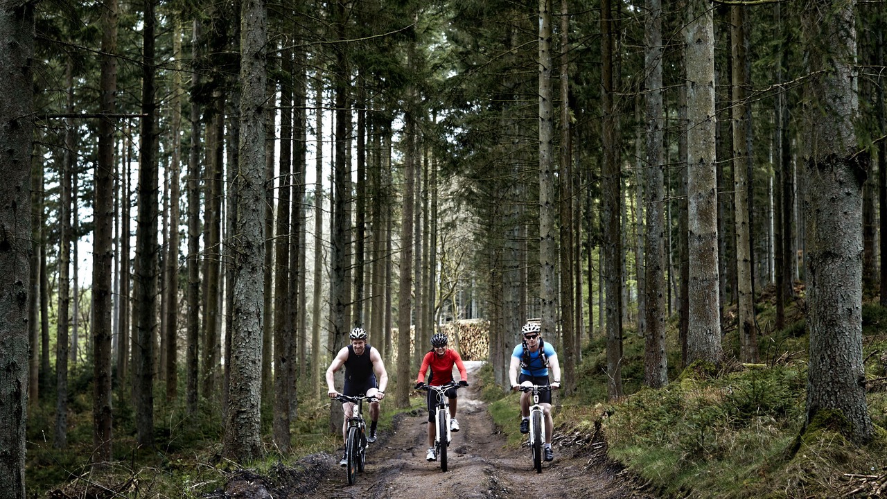Photo of Outdoor in Rebild