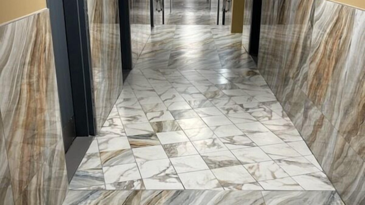 Photo of Others in Elmwood Park