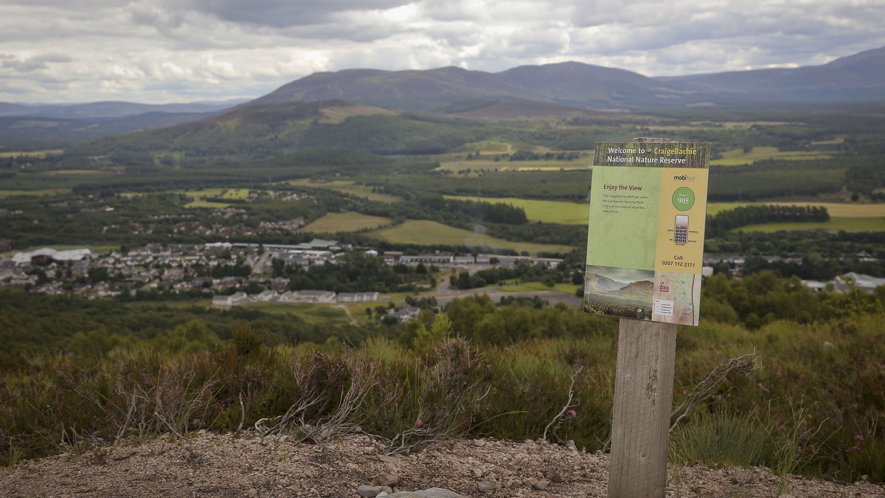 Photo of Outdoor in Aviemore