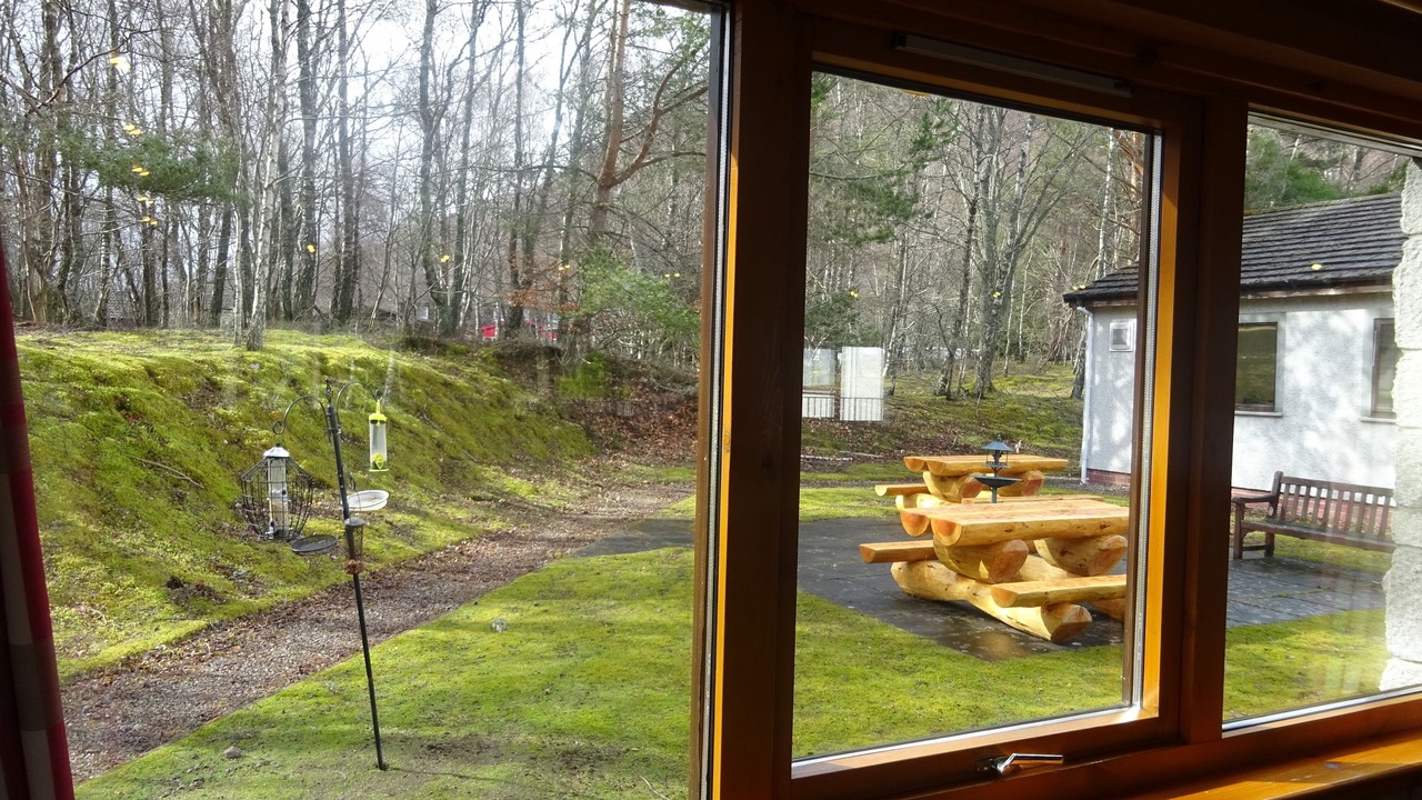 Photo of Others in Aviemore