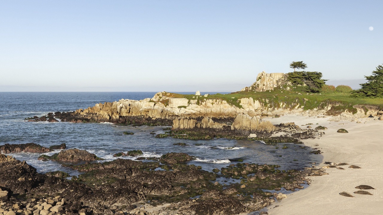 Photo of Others in Monterey