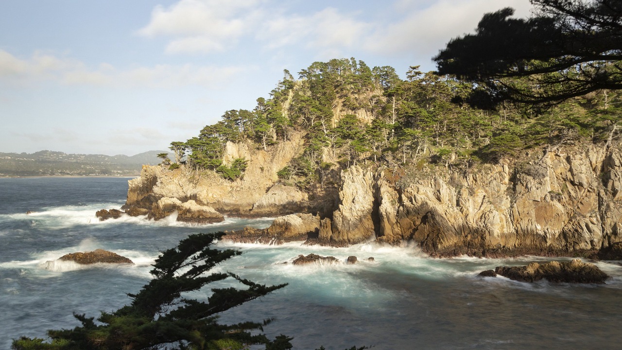 Photo of Others in Monterey