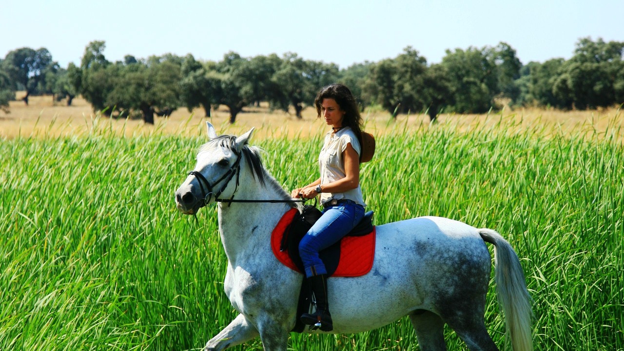 Photo of Others in Torrico