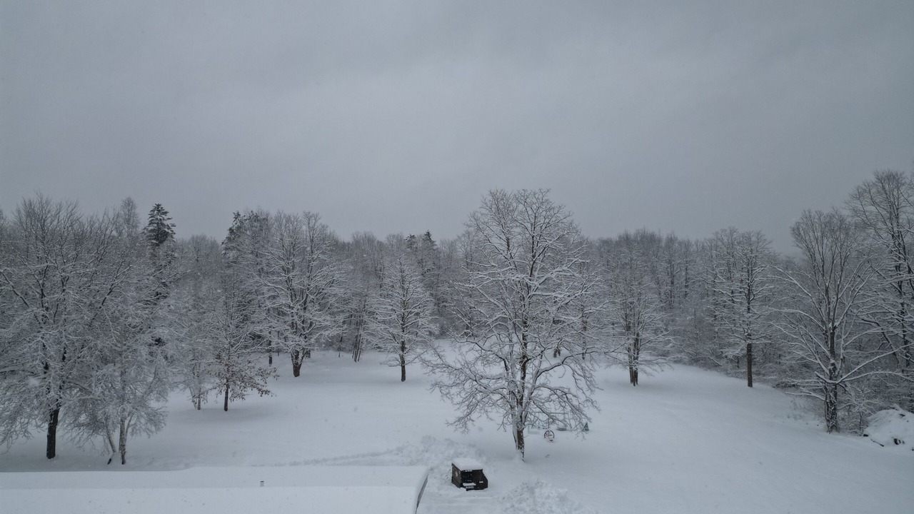 Photo of Outdoor in Putney