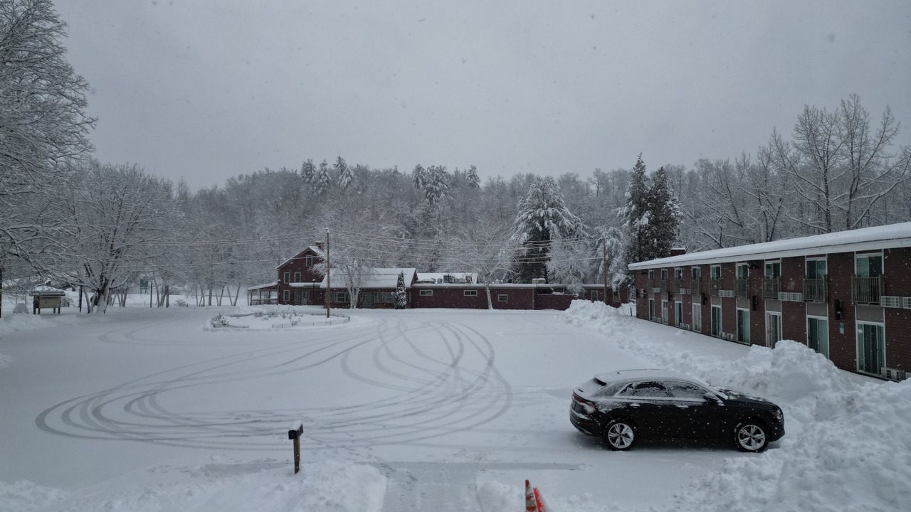 Photo of Others in Putney