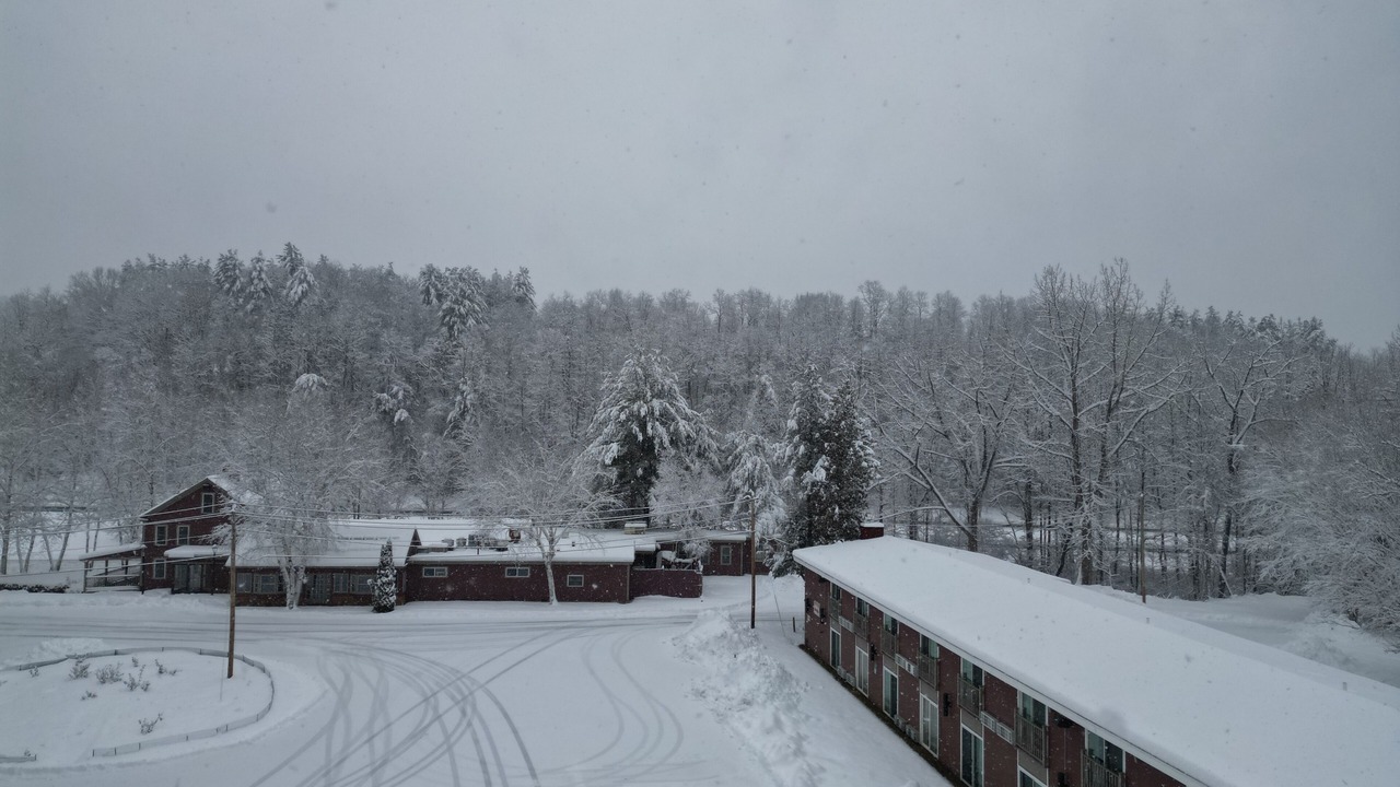 Photo of Outdoor in Putney