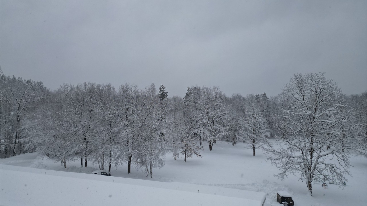 Photo of Outdoor in Putney