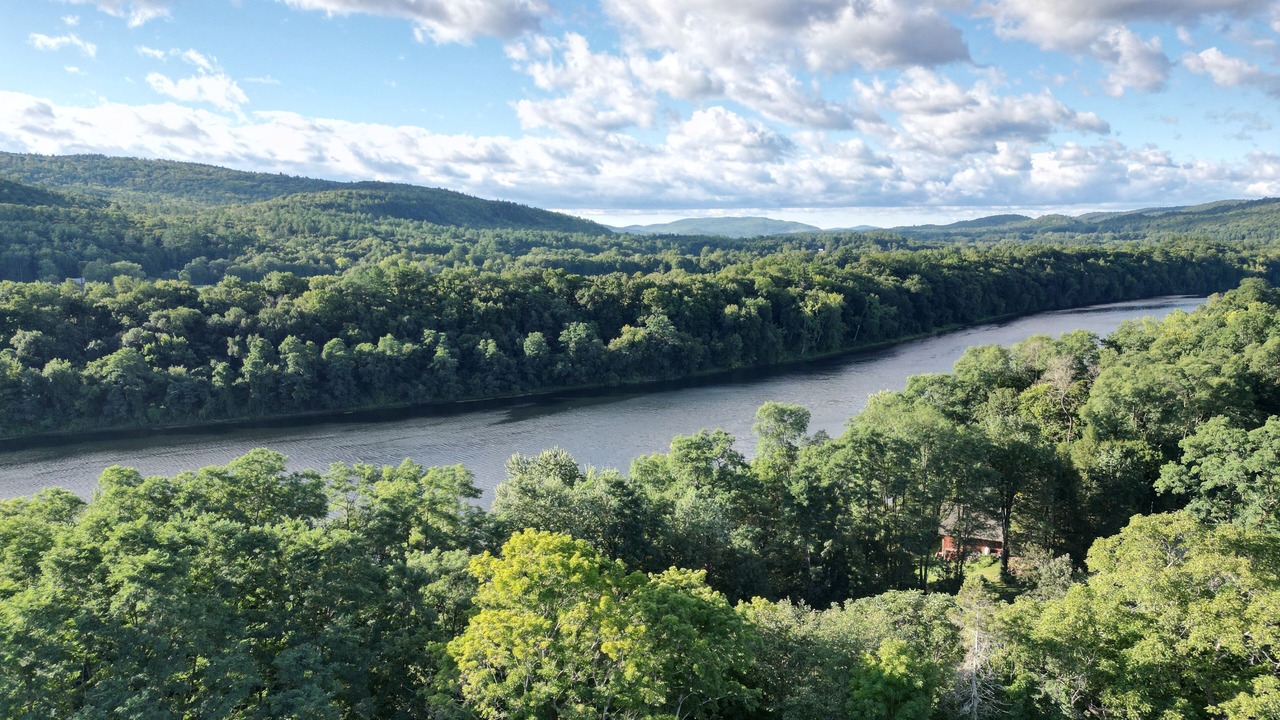 Photo of Outdoor in Putney