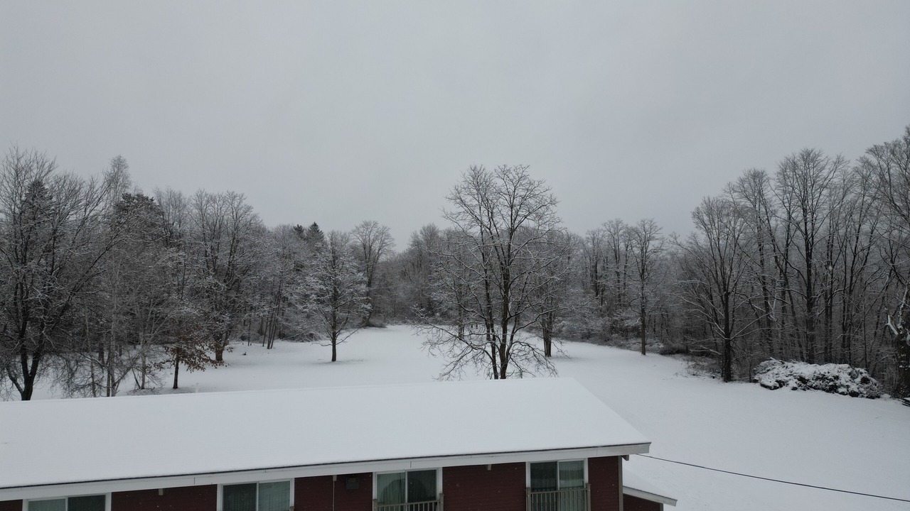 Photo of Outdoor in Putney