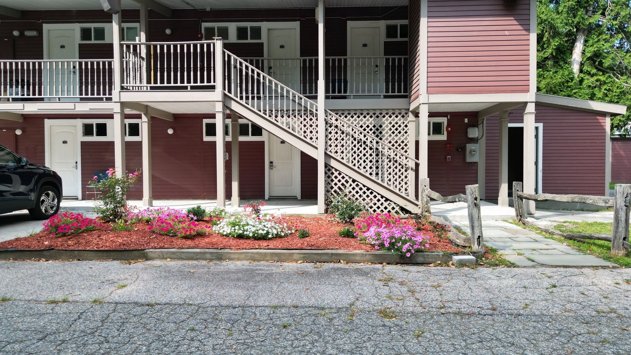 Photo of Outdoor in Putney