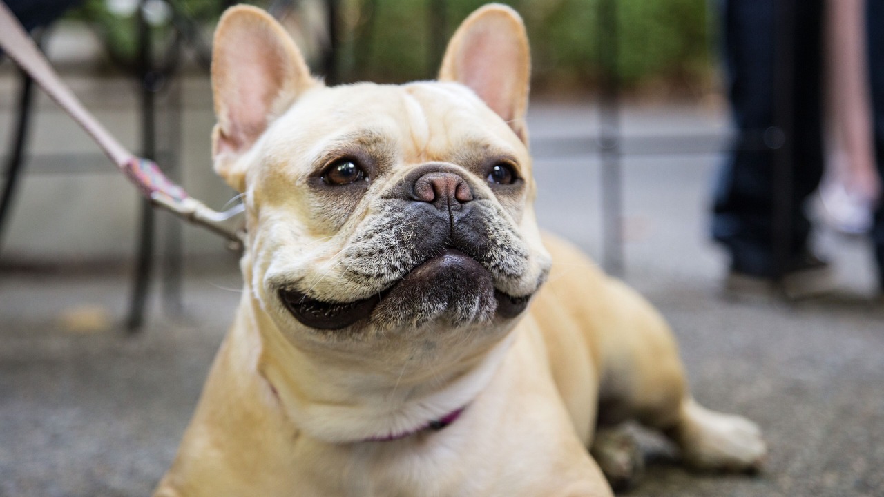 Photo of Others in Calistoga