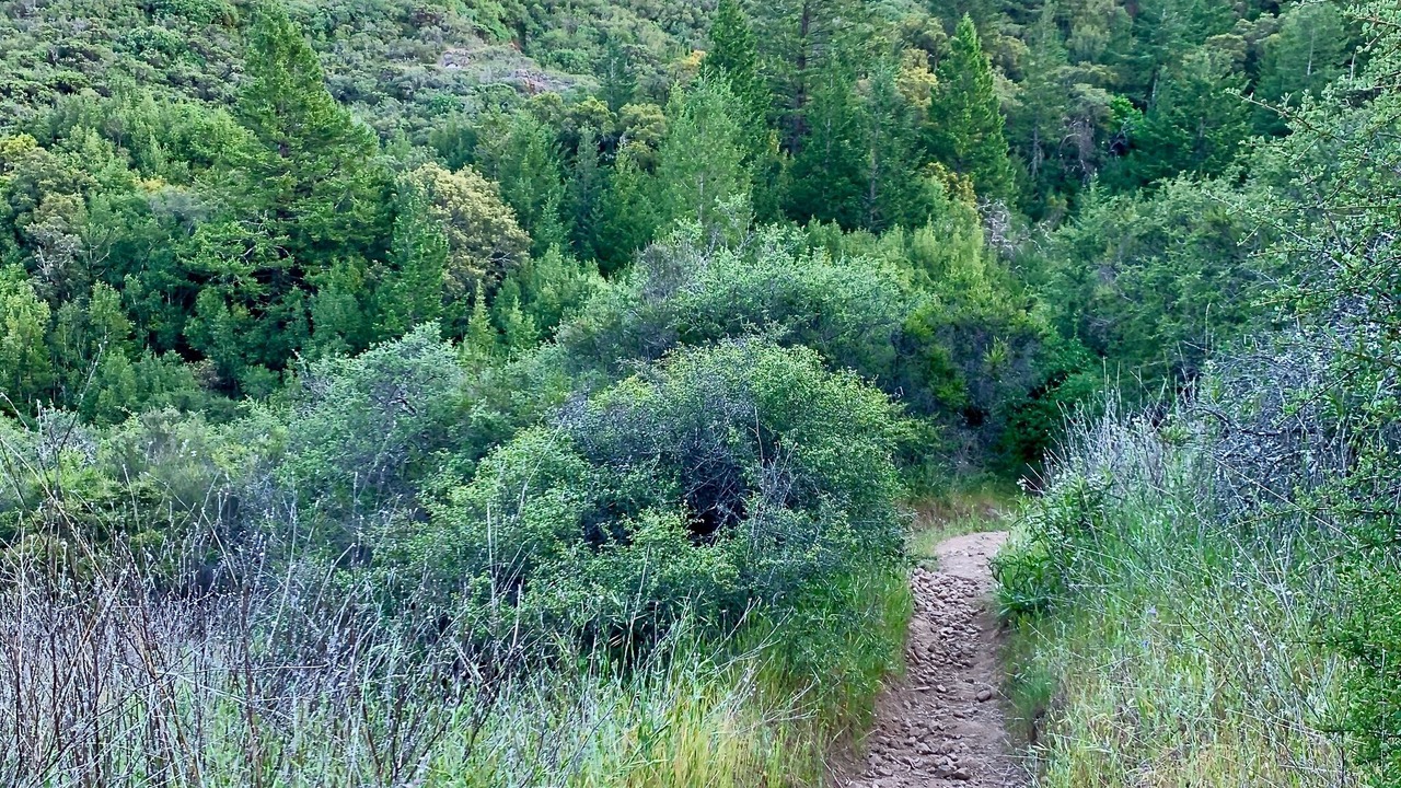 Photo of Outdoor in Calistoga