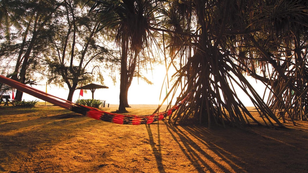 Photo of Others in Paka