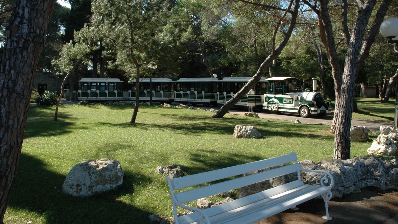 Photo of Others in Fazana