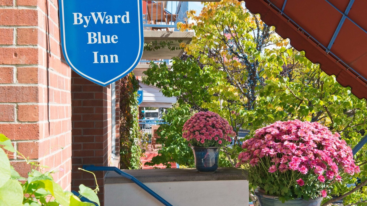 Photo of Outdoor in ByWard Market