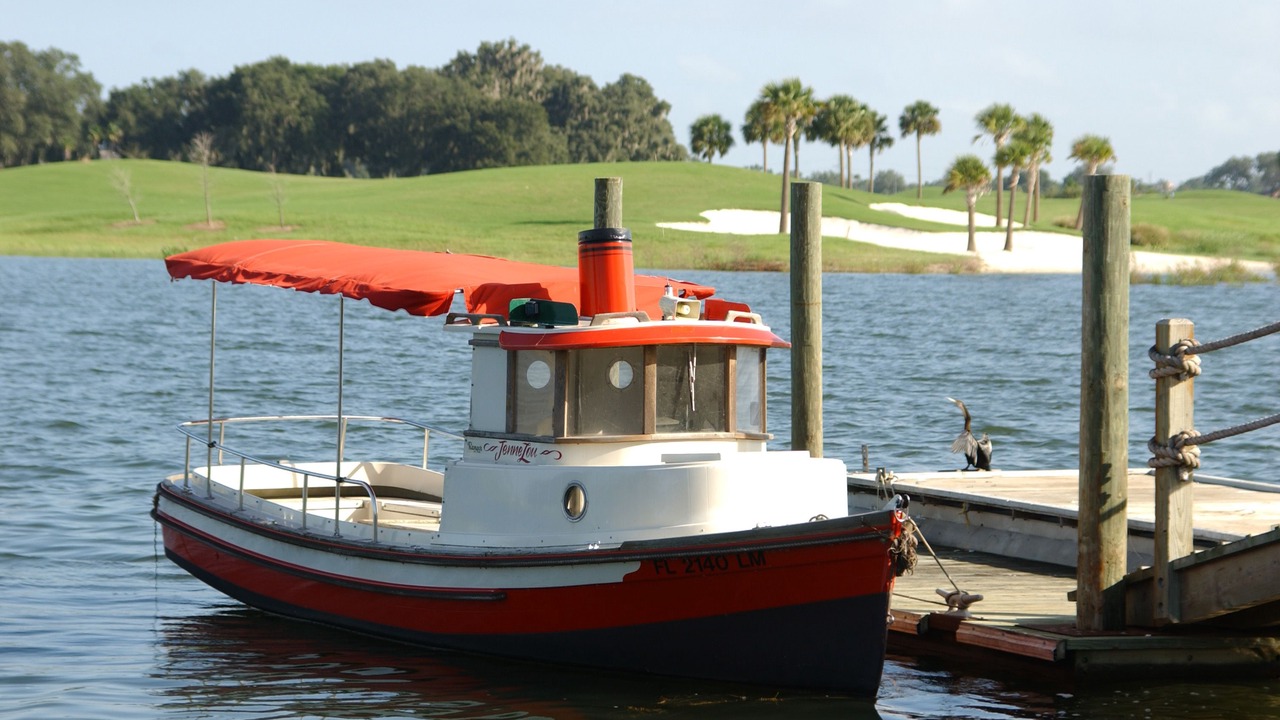 Photo of Others in Lake Sumter Landing