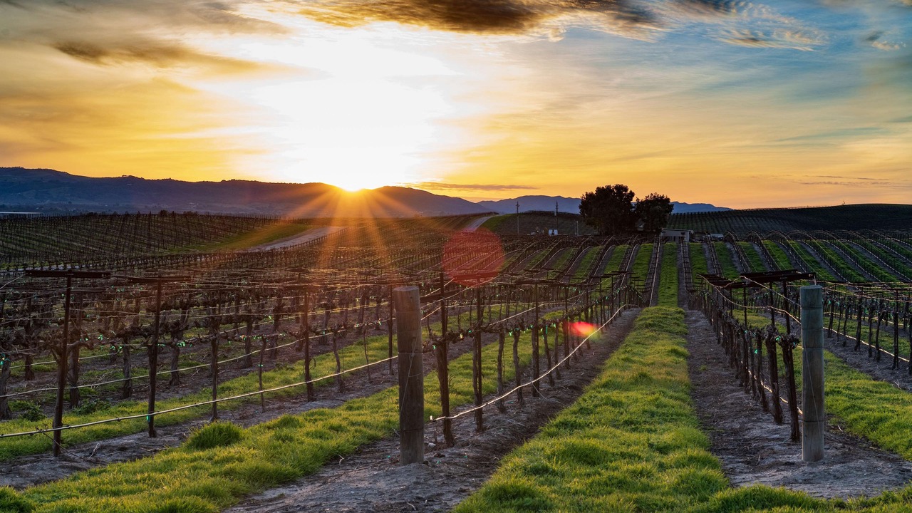 Photo of Outdoor in La Plata