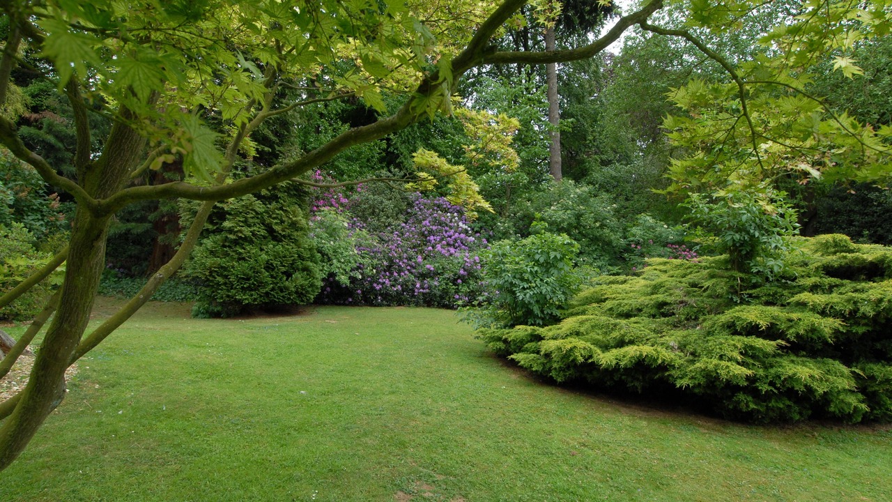 Photo of Outdoor in Chapel Brampton