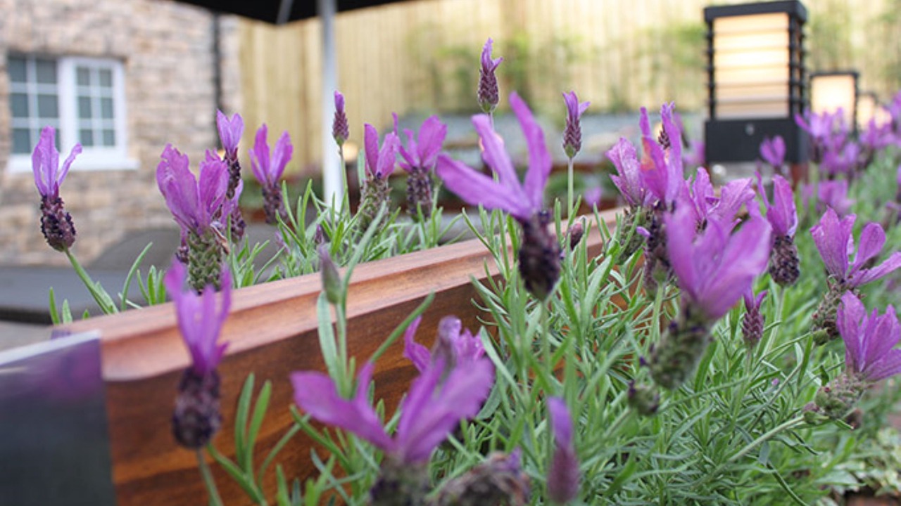 Photo of Outdoor in Howwood