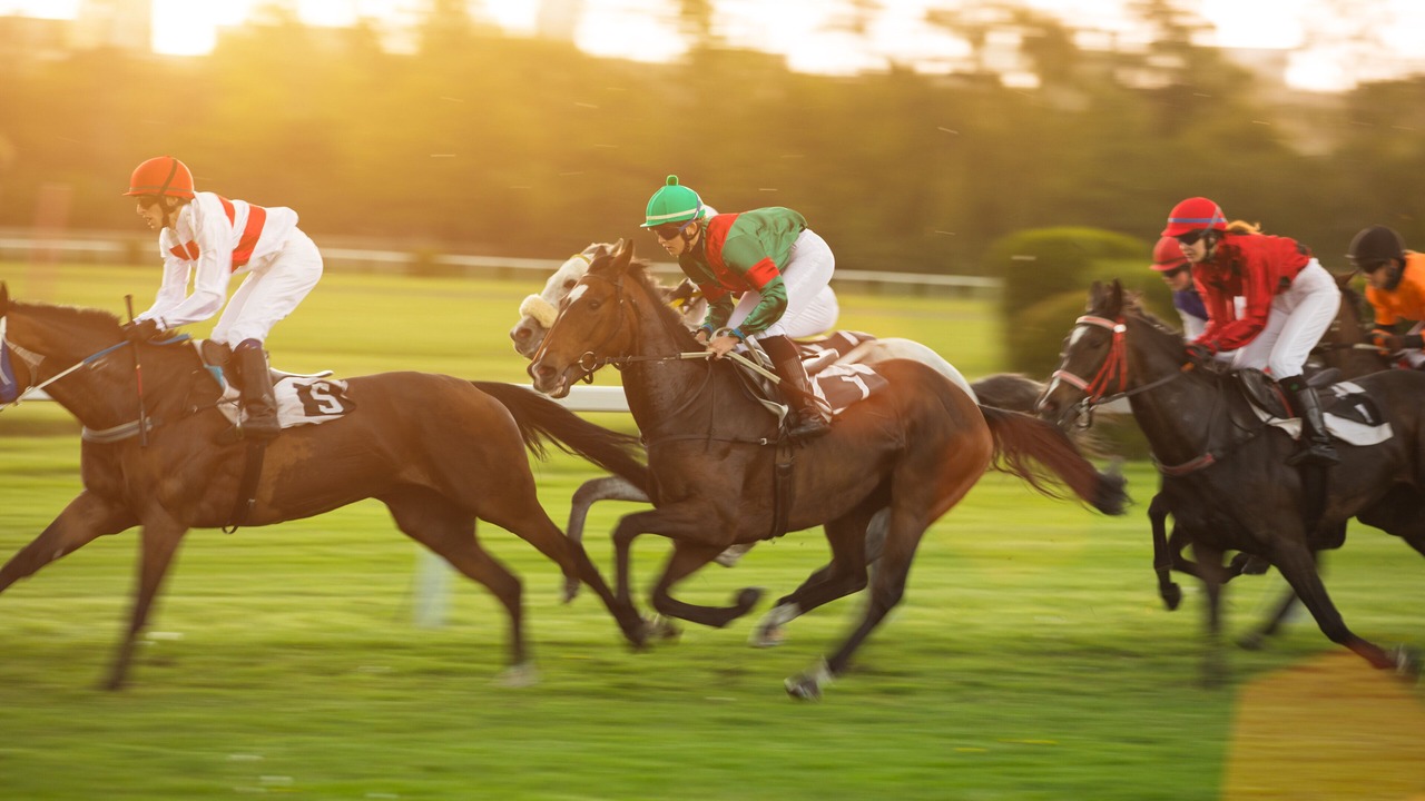 Photo of Others in Hamilton