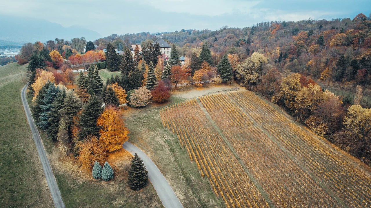 Photo of Others in Chambery