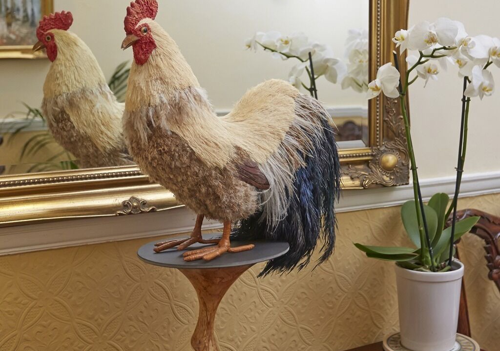 Photo of Others in Hereford