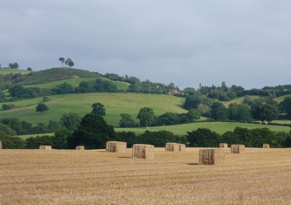 Photo of Others in Hereford