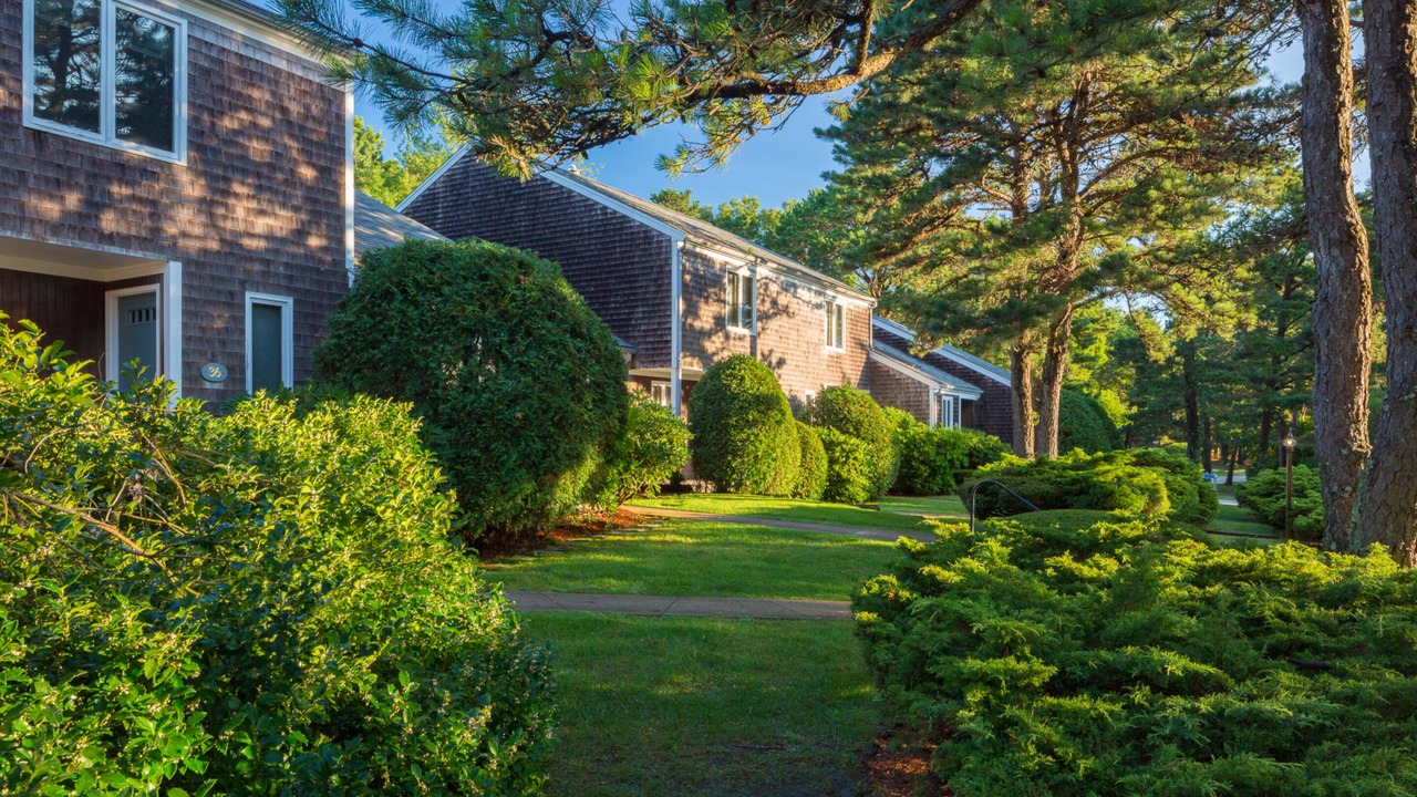 Photo of Outdoor in Mashpee