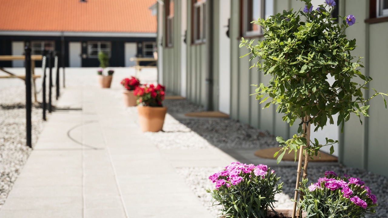 Photo of Others in Helsingor