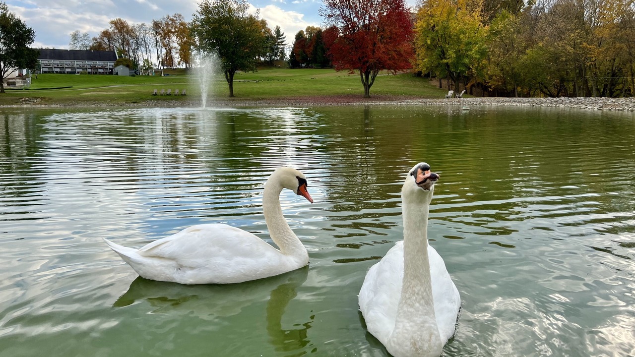 Photo of Outdoor in Ronks