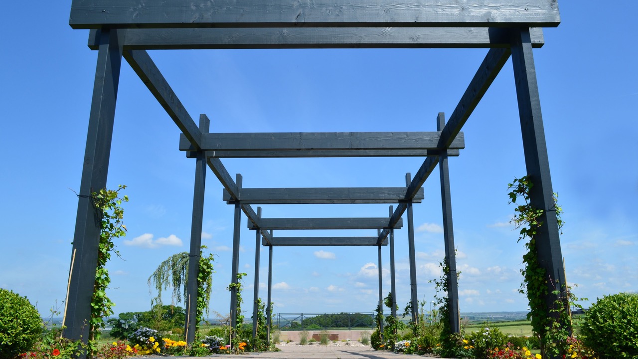 Photo of Others in Larkhall