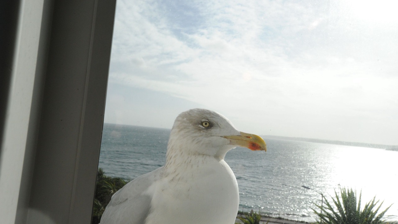Photo of Bedroom in Maenporth
