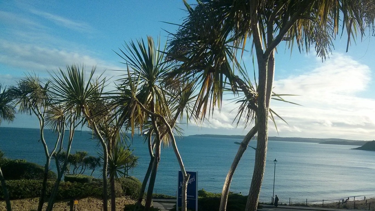 Photo of Others in Maenporth