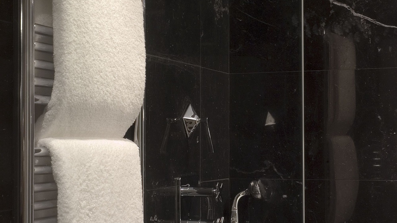 Photo of Bathroom in Burgos